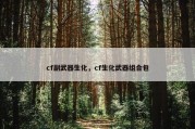 cf副武器生化，cf生化武器组合包