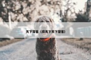 天下潜客（房天下天下潜客）