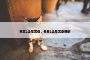 天堂2金星装备，天堂2金星装备搭配