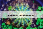 卧虎藏龙手游b（卧虎藏龙手游版本大全）