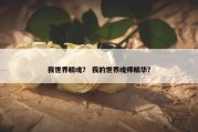我世界精魂？ 我的世界魂师精华？