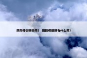 阴阳师御祝作用？ 阴阳师御祝有什么用？