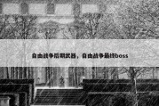自由战争后期武器，自由战争最终boss