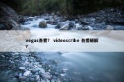 vegas吾爱？ videoscribe 吾爱破解？