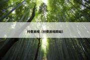 付费游戏（付费游戏网站）