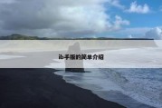 ib手版的简单介绍