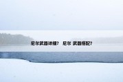 尼尔武器详细？ 尼尔 武器搭配？