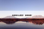 负游戏什么意思？ 游戏负数？