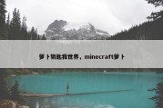 萝卜钥匙我世界，minecraft萝卜