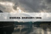 碧海潮生武器，碧海潮生是哪个门派技能