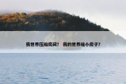 我世界压缩房间？ 我的世界缩小房子？