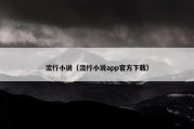 流行小说（流行小说app官方下载）