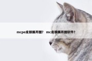 mcpe皮肤展开图？ mc皮肤展开图软件？