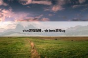 vise游戏攻略，virtues游戏cg