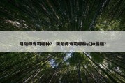 阴阳师寿司哪种？ 阴阳师寿司哪种式神最强？
