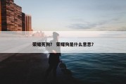 荣耀死狗？ 荣耀狗是什么意思？