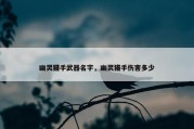 幽灵猎手武器名字，幽灵猎手伤害多少