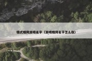 格式相同游戏名字（游戏相同名字怎么取）