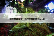 我世界禅哥睿睿（我的世界禅宗召唤mod）