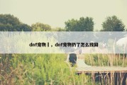 dnf宠物丟，dnf宠物扔了怎么找回