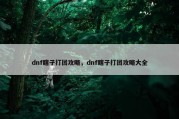 dnf瞎子打团攻略，dnf瞎子打团攻略大全