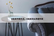 小肚皮升级方法，小肚皮怎么快速升级