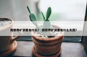 我世界矿洞里有什么？ 我世界矿洞里有什么东西？