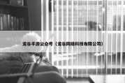 龙谷手游公众号（龙谷网络科技有限公司）