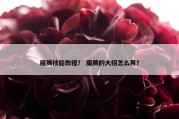 魔腾技能教程？ 魔腾的大招怎么用？