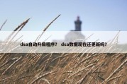 dsa自动升级程序？ dsa数据现在还更新吗？