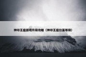 神印王座游戏升级攻略（神印王座位面等级）