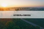 关于我世界pe马桶的信息