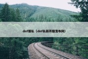 dnf服私（dnf私新开服发布网）