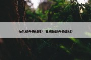 fe孔明升级材料？ 孔明技能升级素材？