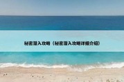 秘密潜入攻略（秘密潜入攻略详细介绍）