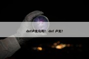 dnf卢克乌鸡？ dnf 卢克？