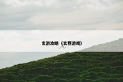 玄游攻略（玄界游戏）