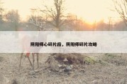 阴阳师心碎片段，阴阳师碎片攻略