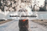 新维加斯怎么，新维加斯怎么复活npc