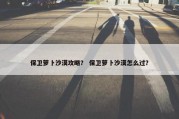 保卫萝卜沙漠攻略？ 保卫萝卜沙漠怎么过？