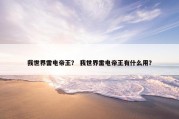 我世界雷电帝王？ 我世界雷电帝王有什么用？