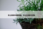 率土滨新手后期攻略，率土之滨新手须知