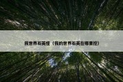 我世界石英怪（我的世界石英在哪里挖）
