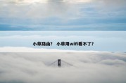 小草路由？ 小草用wifi看不了？