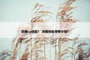 剑魔cp技能？ 剑魔技能视频介绍？
