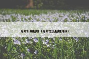 尼尔升级挂机（尼尔怎么挂机升级）