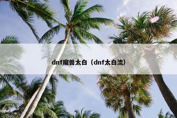 dnf魔兽太白（dnf太白流）