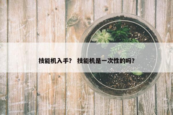技能机入手？ 技能机是一次性的吗？