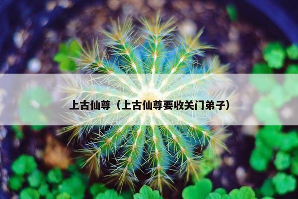 上古仙尊（上古仙尊要收关门弟子）