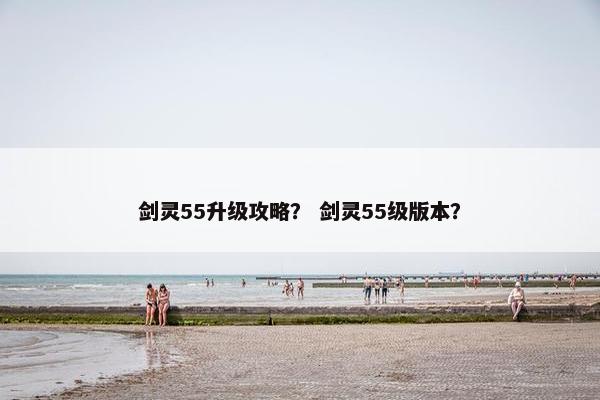 剑灵55升级攻略？ 剑灵55级版本？